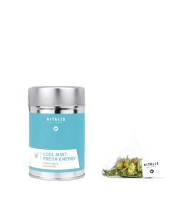 Team Dr. Joseph Cool Mint Fresh Energy Herbal Tea 12 Pyramid Filter (Can)