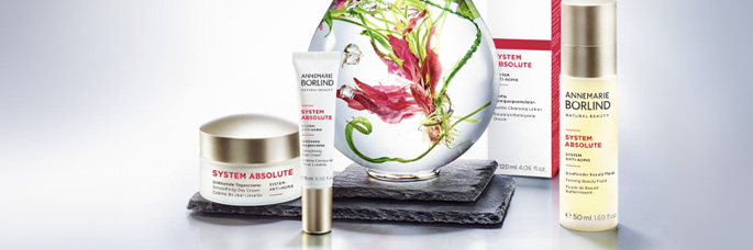 System Absolute System Absolute